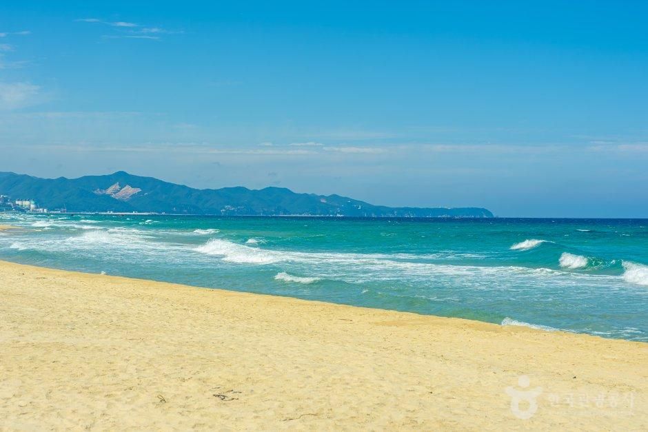 대진 해수욕장