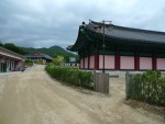 경주 기림사 (17)