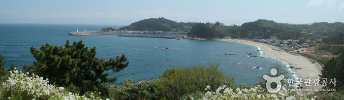 장호해변 장호해변