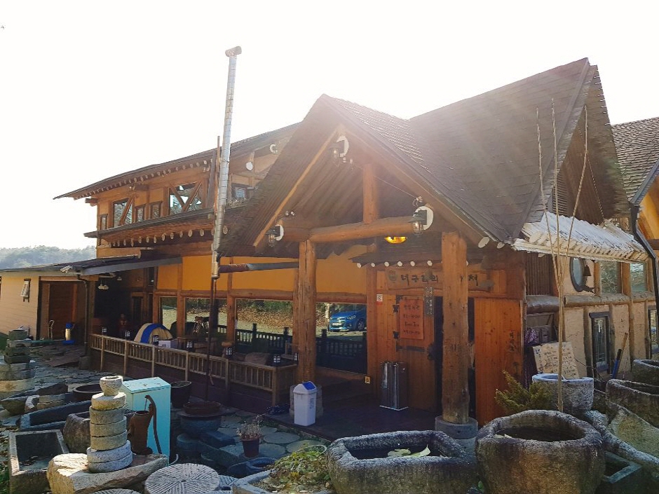 Raccoon Dog's Refuge
