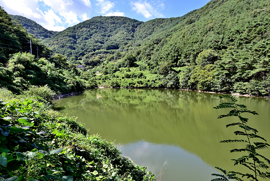 密阳永安池