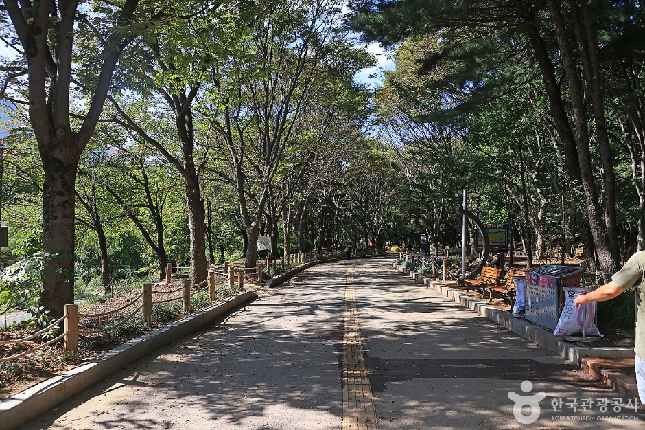 城南中央公園