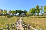 승촌공원 (5)