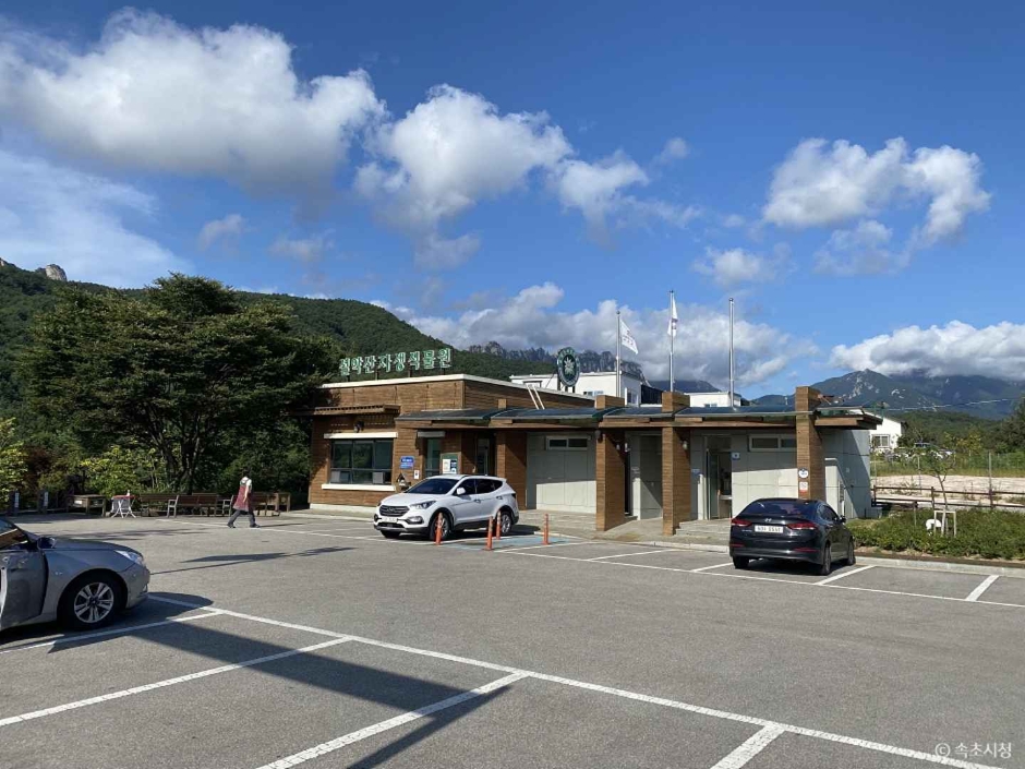 雪岳山野生植物园