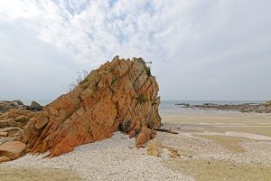 중구_거북바위 (5)