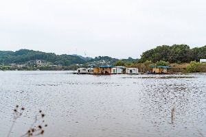 면천낚시터 사진 5