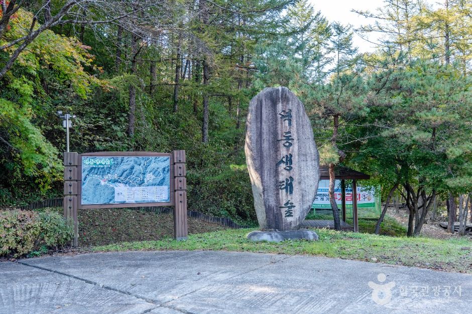 徳洞生態の森