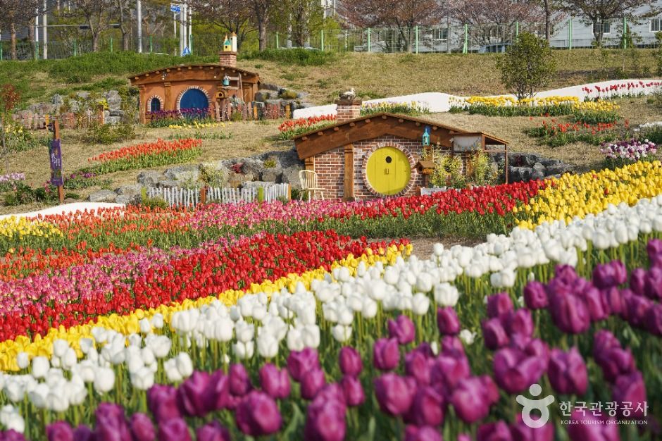 Daegu Secheon Marsh Theme Garden