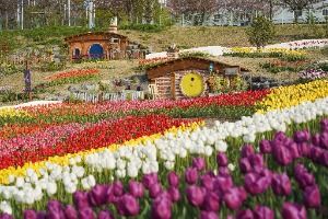 3572047 image3 1 예스키즈존 탐험대 : 실패 없는 육아여행