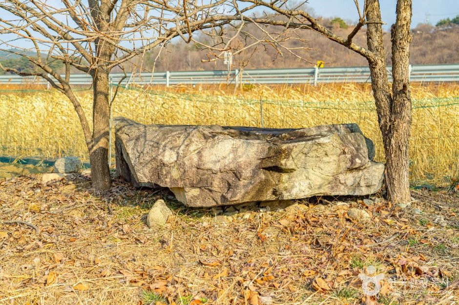 山清特里支石墓群
