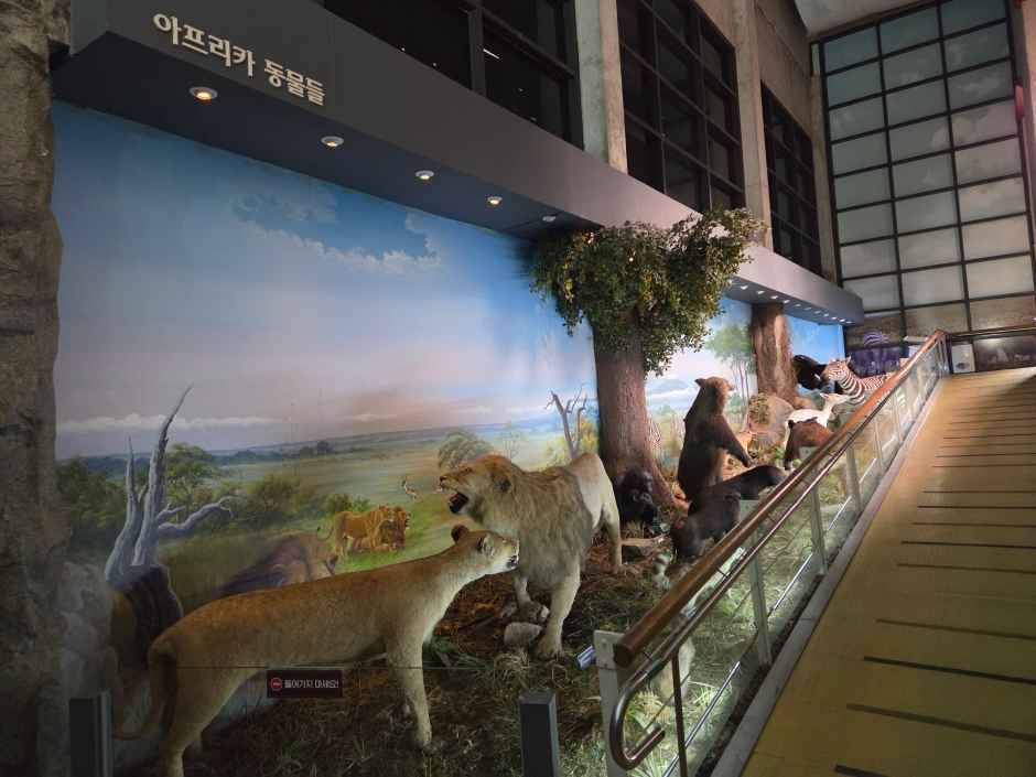 고성_고성자연사박물관 (7).jpg