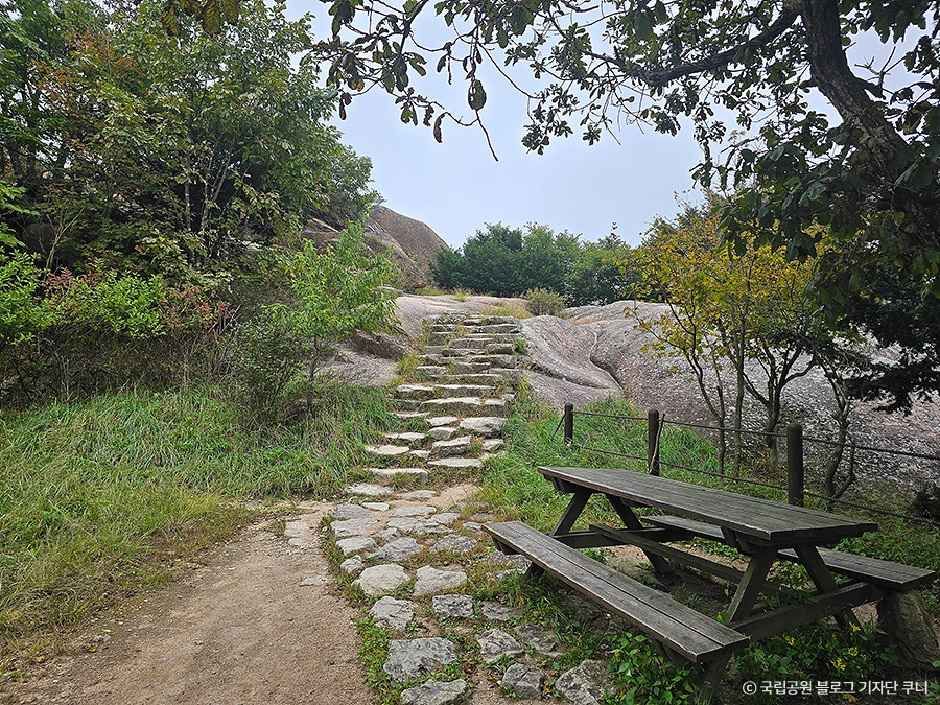 보은_속리산국립공원(충북) (5).jpg