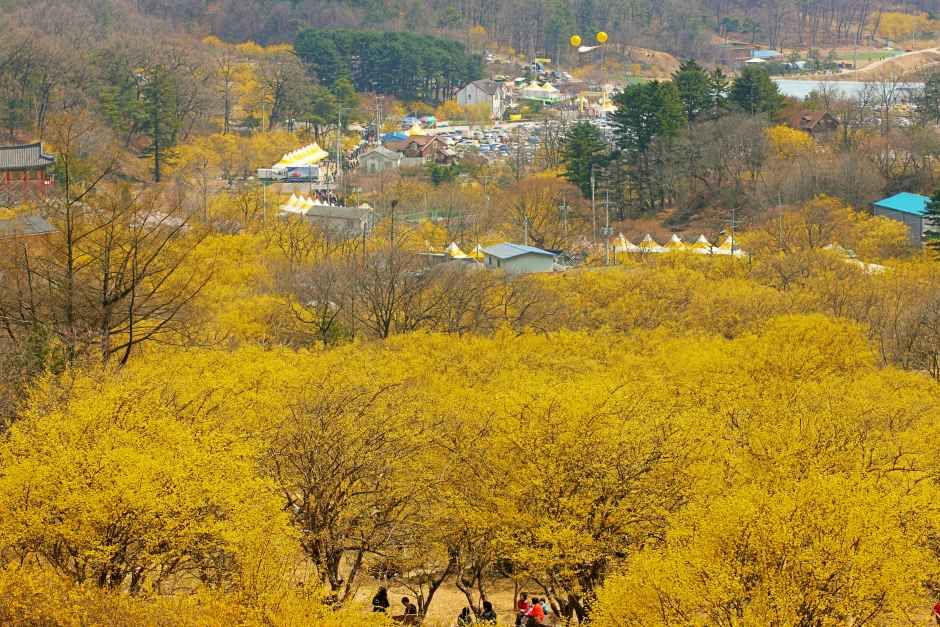 Icheon Sansuyu Village