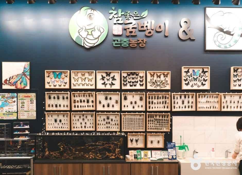 참좋은굼벵이 곤충농장