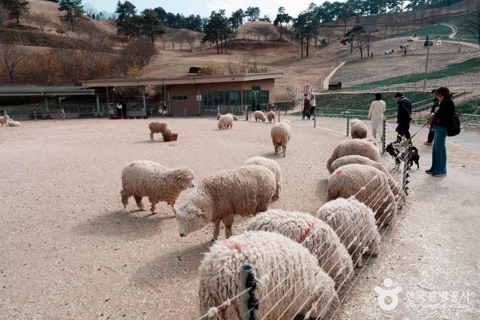 지리산치즈랜드