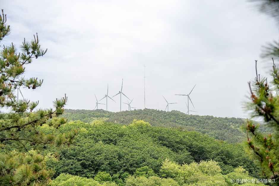 영덕_영덕풍력발전단지 (3).jpg