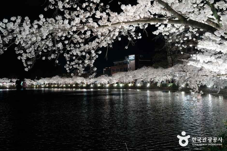 경북_김천_교동 연화지_외부_4.jpg