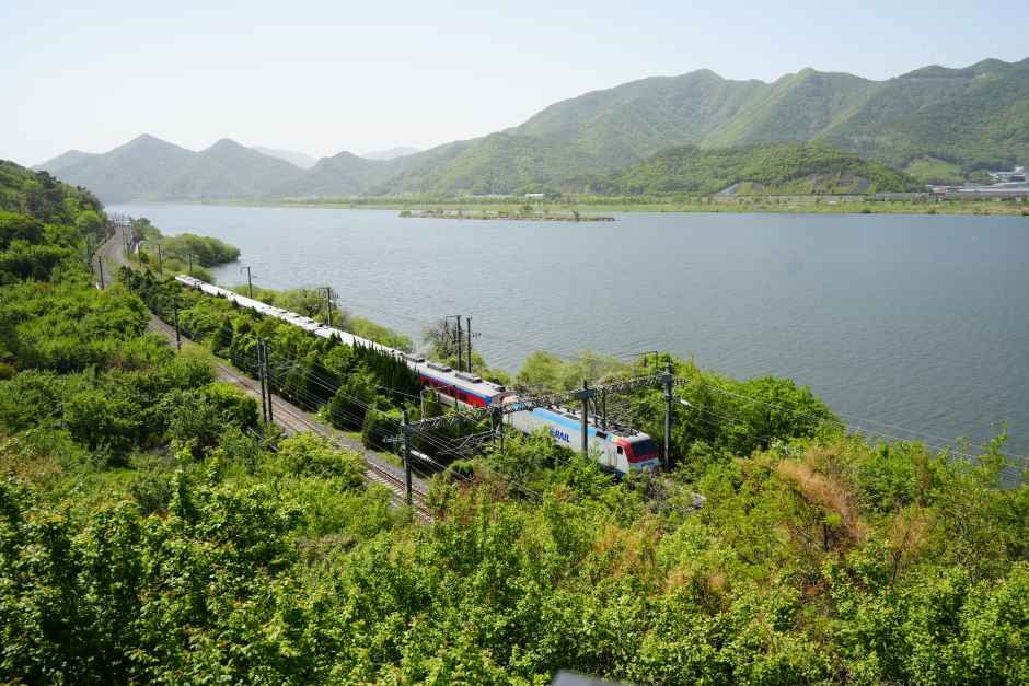 院洞駅付近の洛東江沿いを走る釜山発ソウル行き無窮花1156号