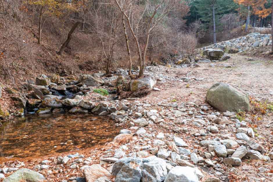 모짜르트