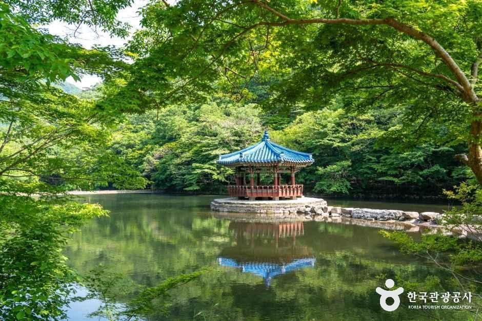 우화정(내장산) - 전북특별자치도 정읍시 내장동 598-7 관광 명소