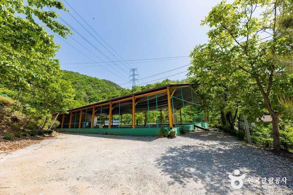 제천워터파크캠핑랜드