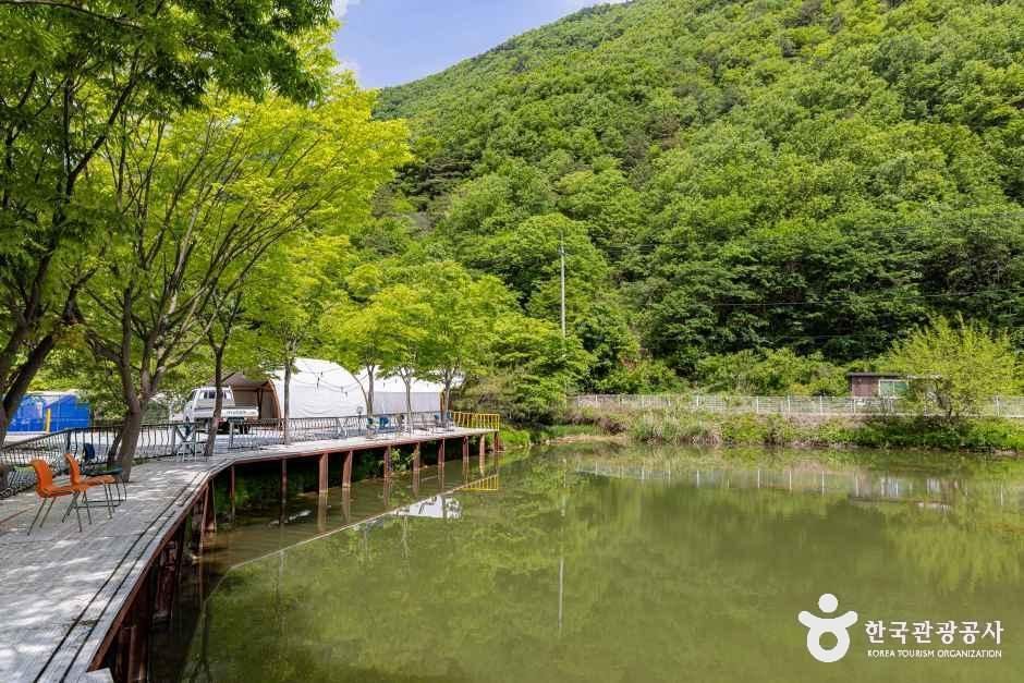 가마실캠핑장