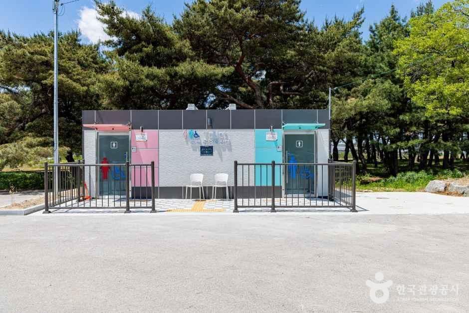 솔밭공원
