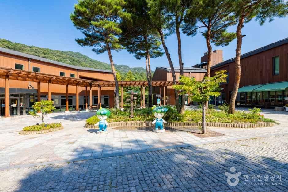 국립대전숲체원