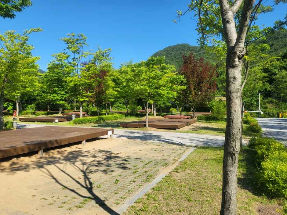 홍천강오토캠핑장