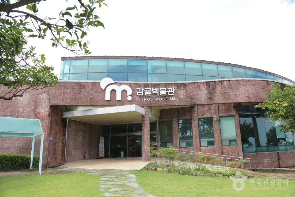 감귤박물관 사진 8
