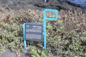 제주_제주_제주신흥해수욕장_외부_5.JPG