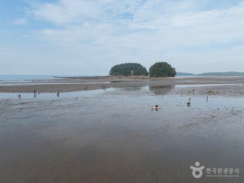 Seondo-ri Tidal Flat Experience Village