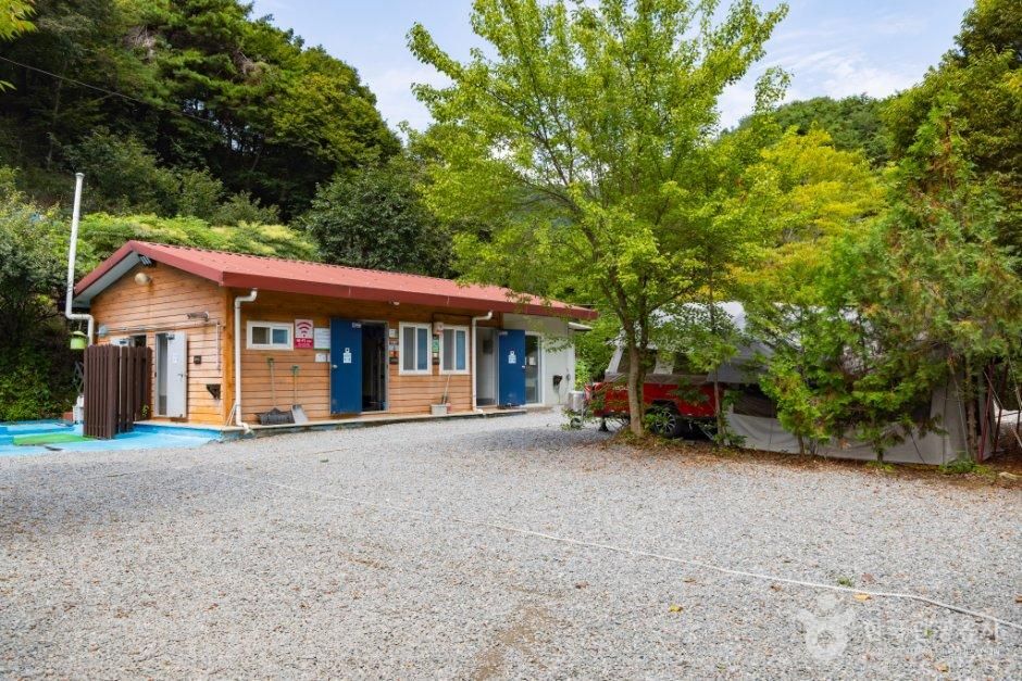 예산느티나무캠핑장