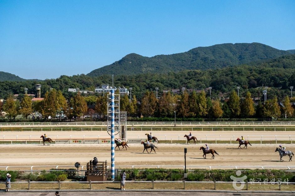 렛츠런파크 서울
