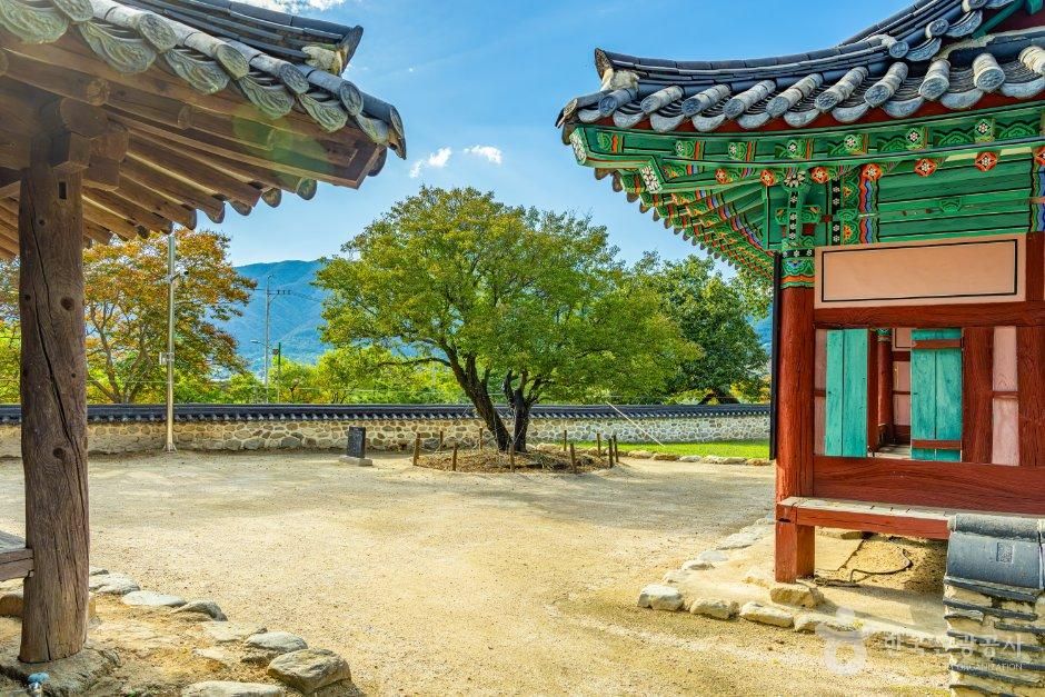 산천재 남명매 사진 4