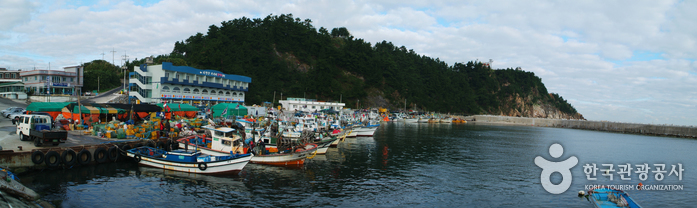 안인해변(안인해수욕장) 안인해변(안인해수욕장)