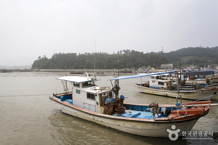 율포솔밭해변 및 해수풀장 율포솔밭해변 및 해수풀장