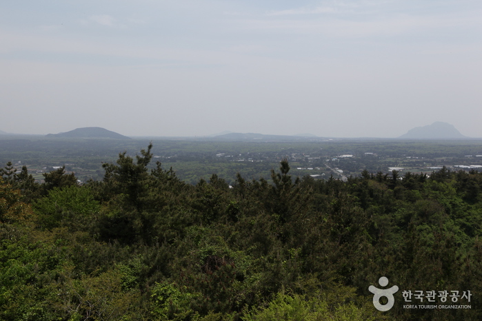 저지오름(닥몰오름,새오름)