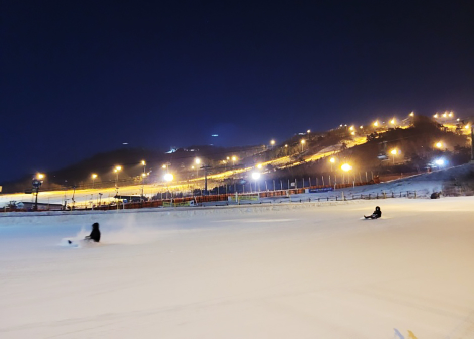 アルペンシアリゾート雪そり場