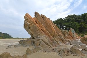 중구_거북바위 (2)