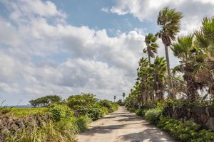 Shinpung Sincheon Sea Ranch