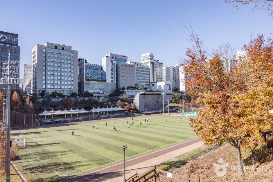 大治遊水地体育公園