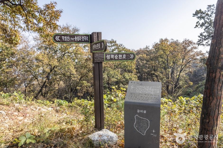 세종_금이성 (4)