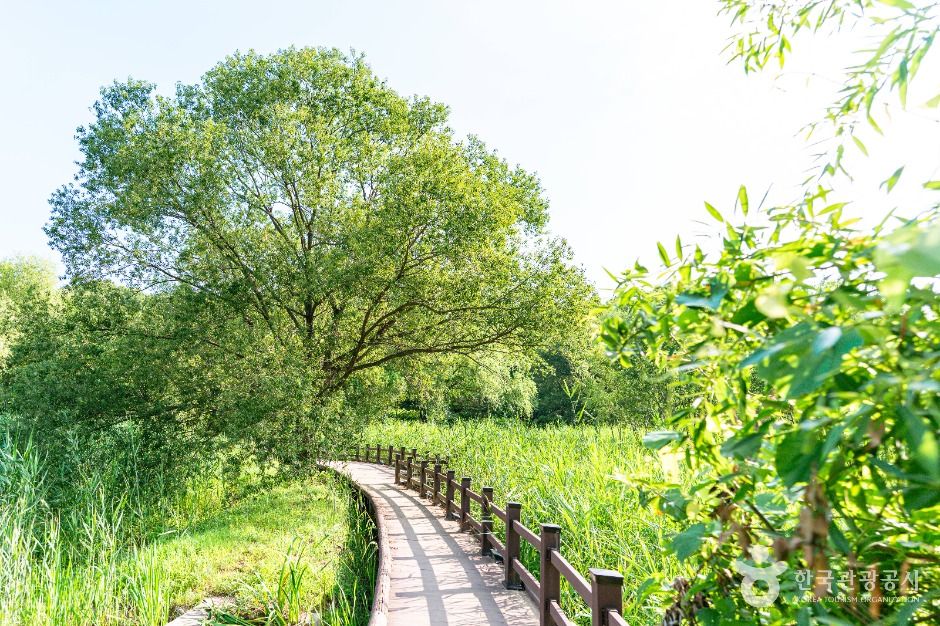 安谷湿地公園