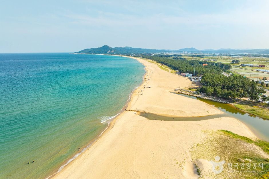 鯨ブル海水浴場