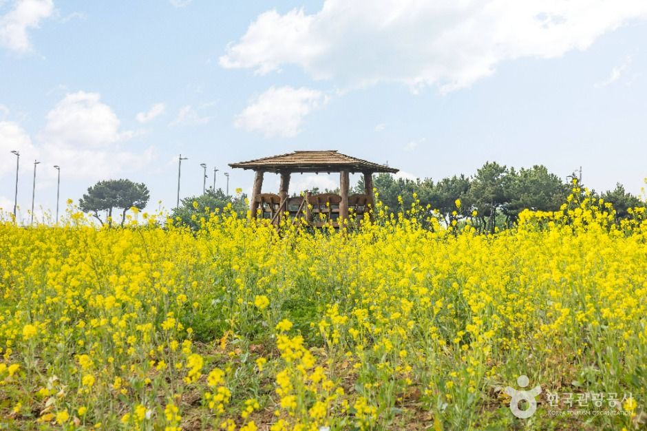 ハヌル庭園