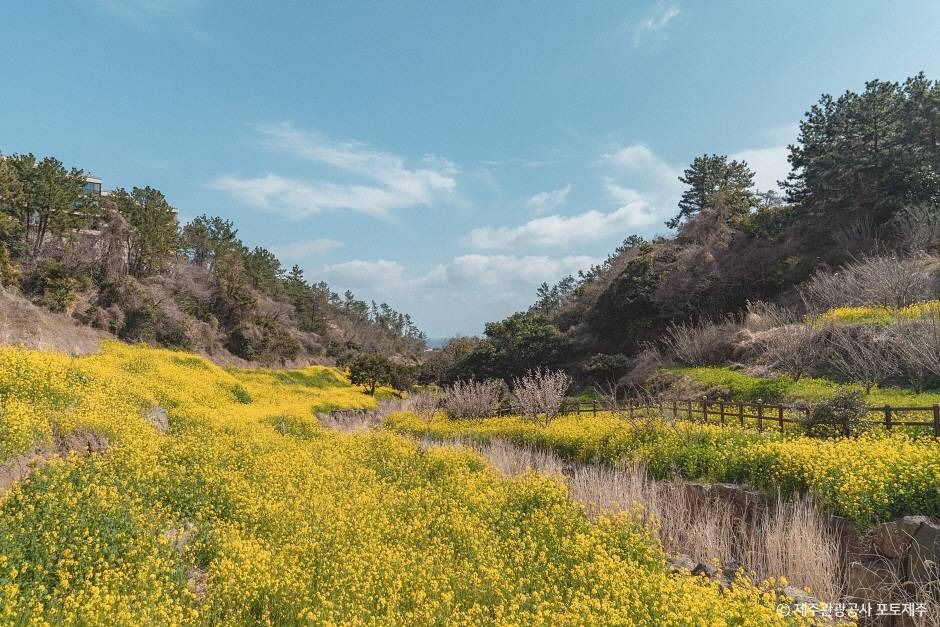 Eongdeongmul Valley