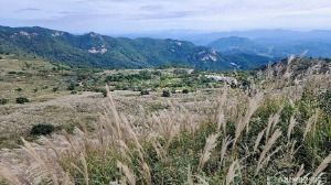 황매산 억새군락지