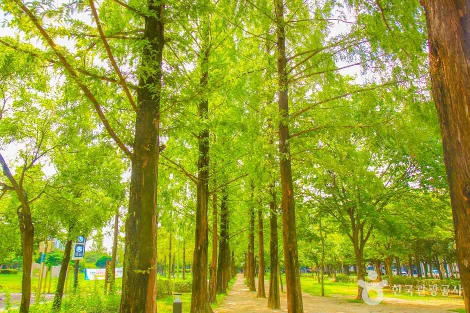 Hosan Park