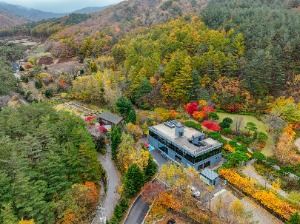 국립한국자생식물원